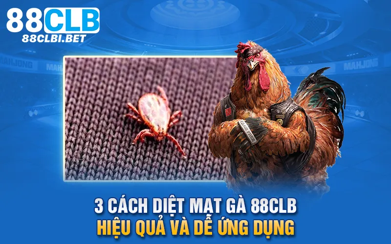 Cách diệt mạt gà 88clb và phòng tránh