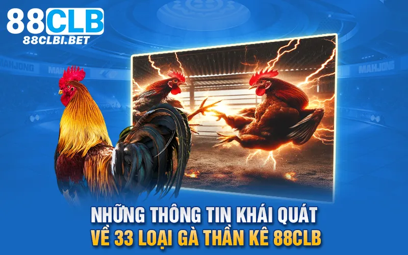 Những thông tin khái quát về 33 loại gà thần kê 88clb