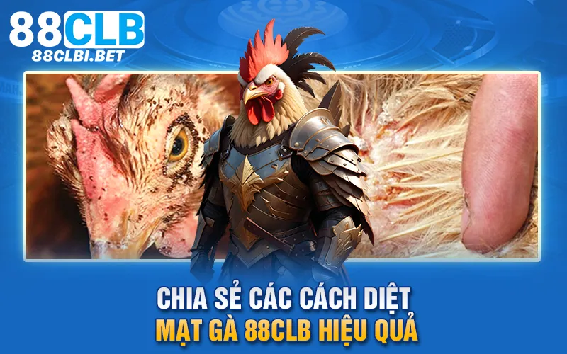 Chia sẻ các cách diệt mạt gà 88clb hiệu quả