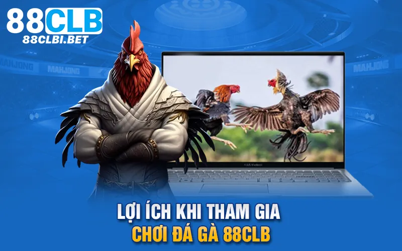 Lợi ích khi tham gia chơi đá gà 88clb