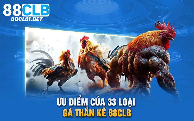 Ưu điểm của 33 loại gà thần kê 88clb